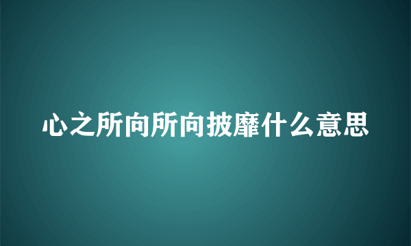 心之所向所向披靡什么意思