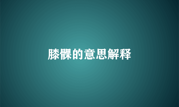 膝髁的意思解释