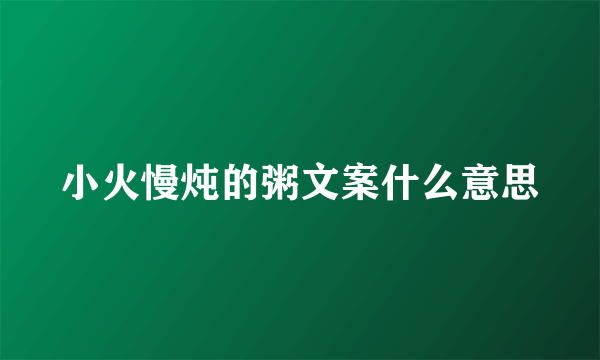 小火慢炖的粥文案什么意思
