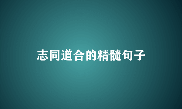 志同道合的精髓句子