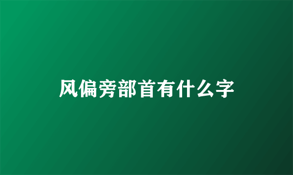 风偏旁部首有什么字