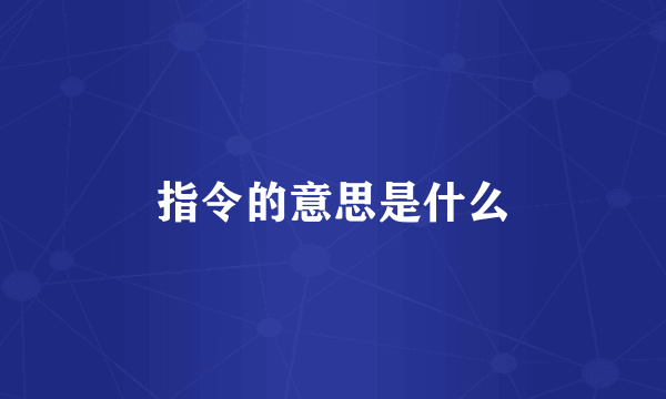 指令的意思是什么