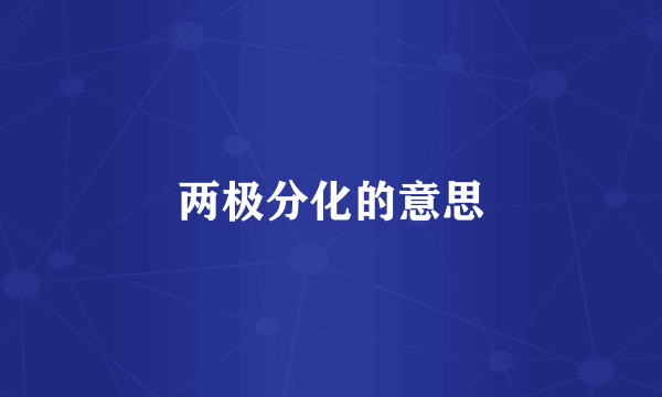 两极分化的意思