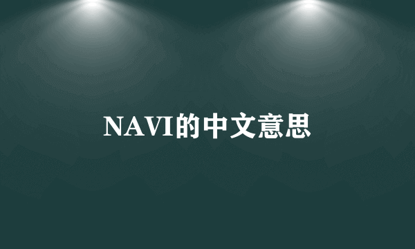 NAVI的中文意思