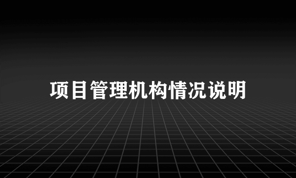 项目管理机构情况说明