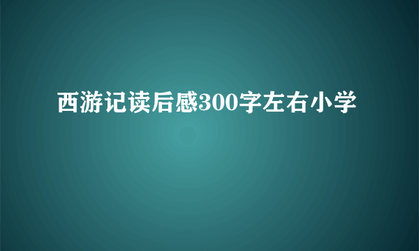 西游记读后感300字左右小学
