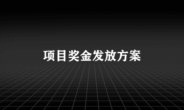 项目奖金发放方案