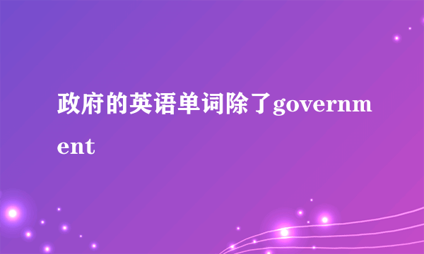 政府的英语单词除了government