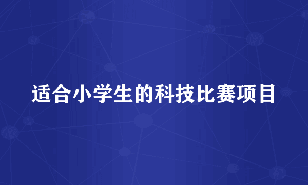 适合小学生的科技比赛项目
