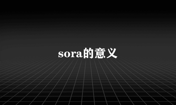 sora的意义