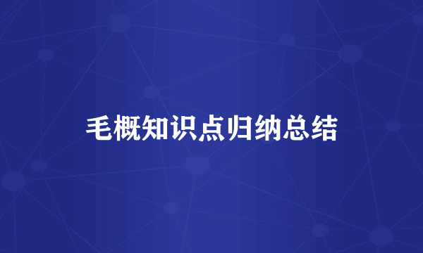 毛概知识点归纳总结