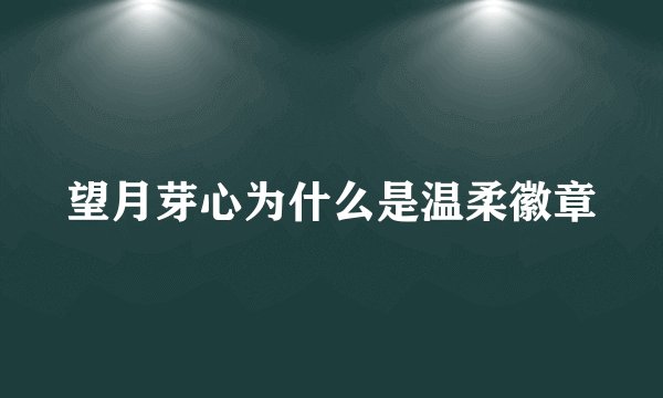 望月芽心为什么是温柔徽章