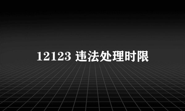 12123 违法处理时限