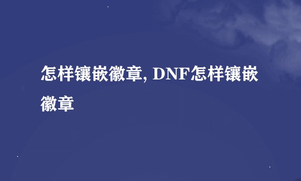 怎样镶嵌徽章, DNF怎样镶嵌徽章