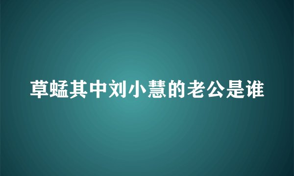 草蜢其中刘小慧的老公是谁