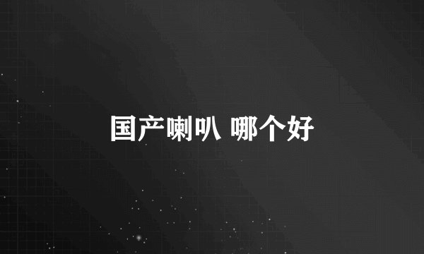 国产喇叭 哪个好
