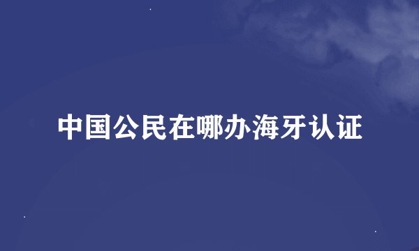 中国公民在哪办海牙认证