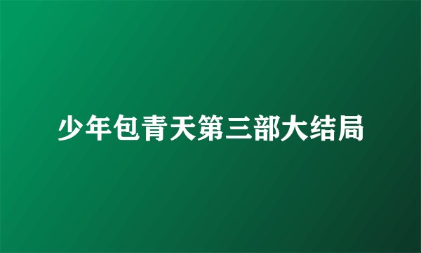 少年包青天第三部大结局