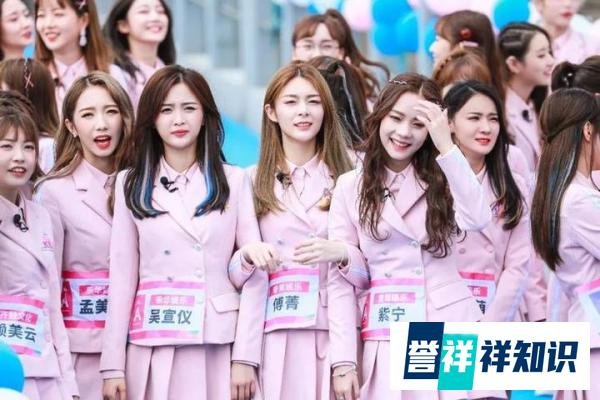 你不认识SHE我不认识101-关于华语音乐和偶像养成综艺的对比分析