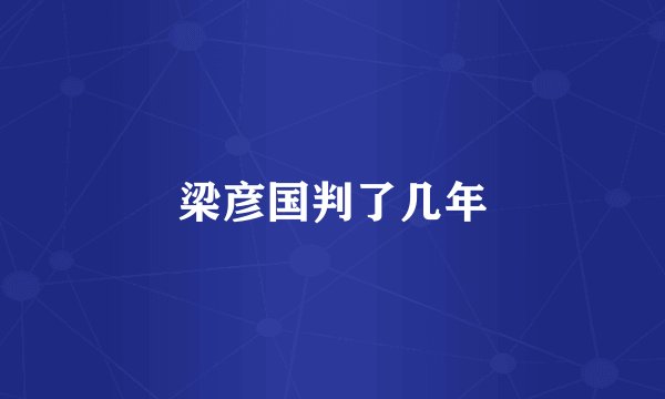 梁彦国判了几年