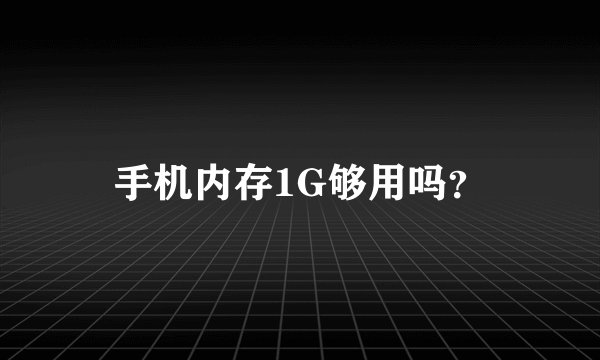 手机内存1G够用吗?
