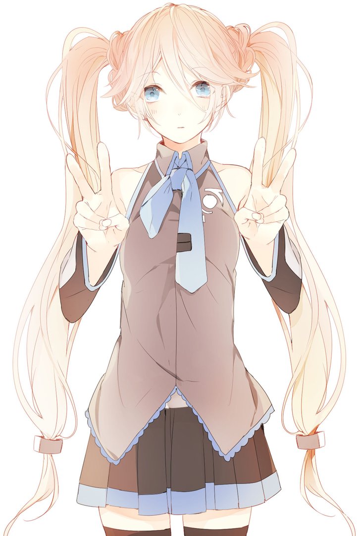 VOCALOID同好协会的简介