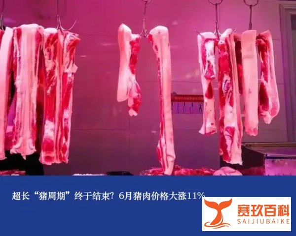 超长“猪周期”终于结束？6月猪肉价格大涨11%