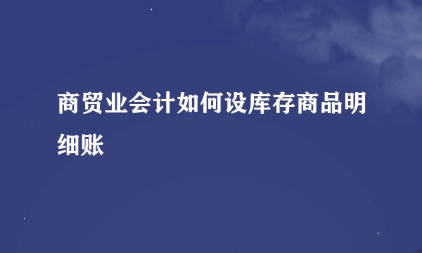 商贸业会计如何设库存商品明细账
