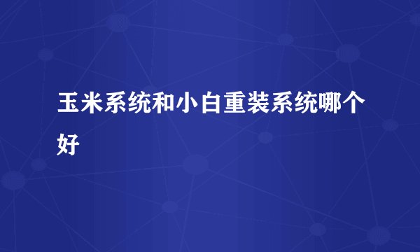 玉米系统和小白重装系统哪个好