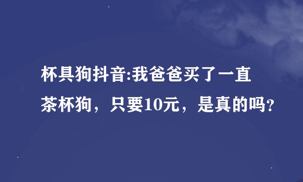 杯具狗抖音:我爸爸买了一直茶杯狗，只要10元，是真的吗？