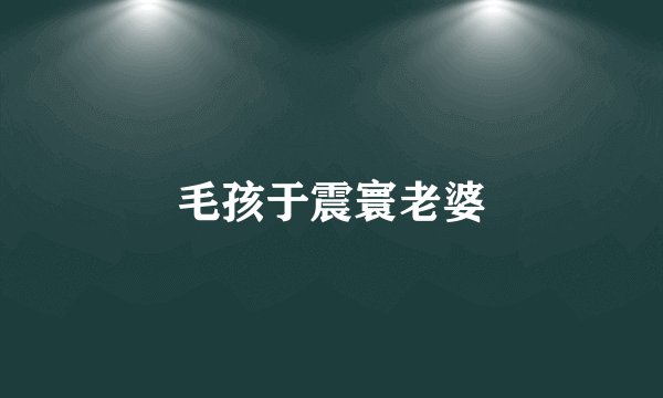 毛孩于震寰老婆