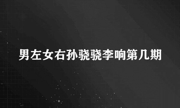 男左女右孙骁骁李响第几期