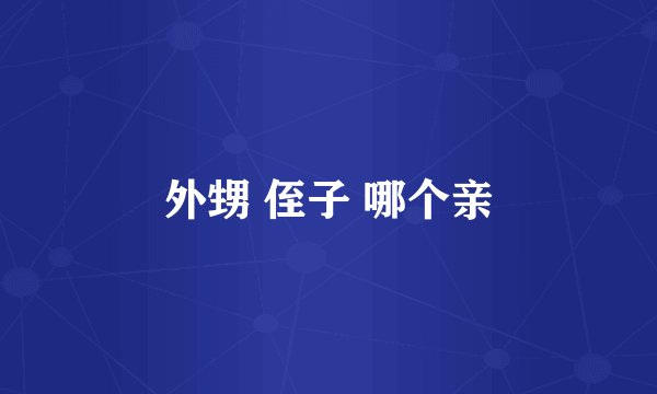 外甥 侄子 哪个亲