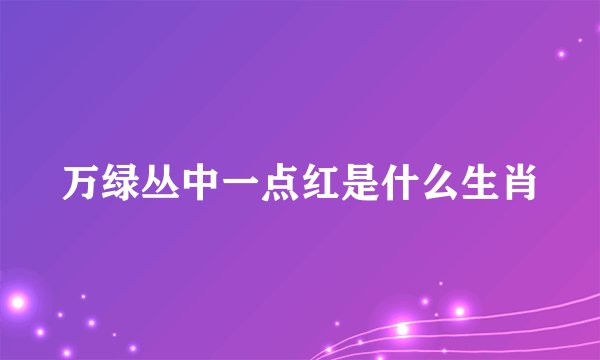 万绿丛中一点红是什么生肖