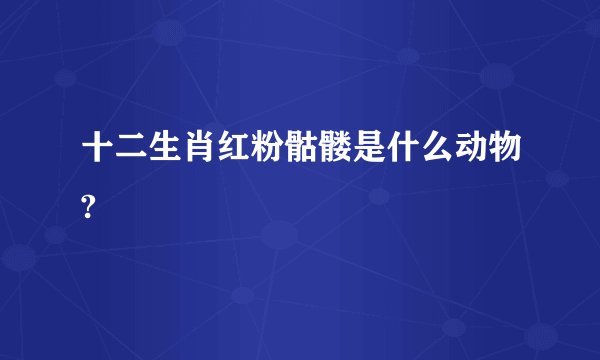 十二生肖红粉骷髅是什么动物?
