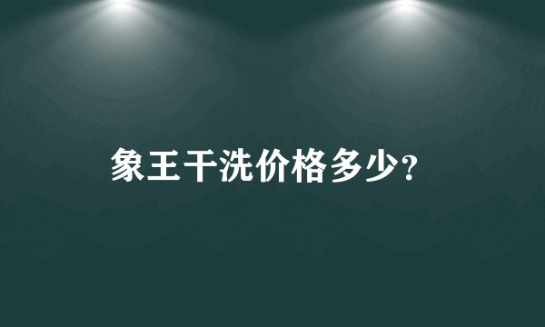 象王干洗价格多少？