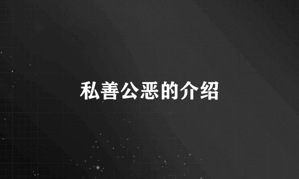 私善公恶的介绍