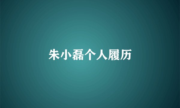 朱小磊个人履历