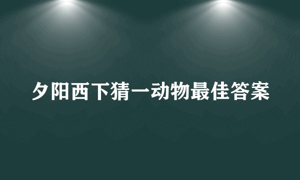 夕阳西下猜一动物最佳答案
