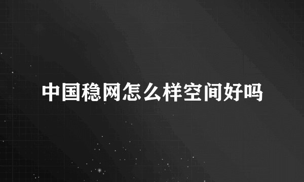 中国稳网怎么样空间好吗