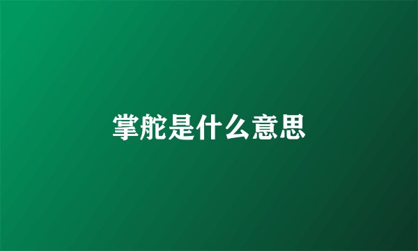 掌舵是什么意思