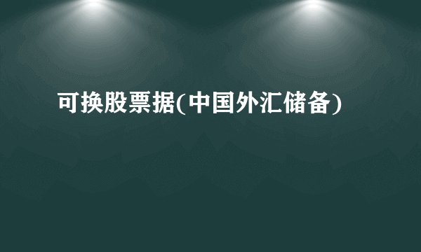 可换股票据(中国外汇储备)