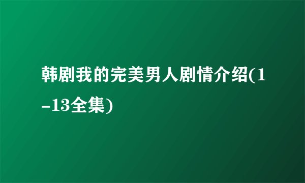 韩剧我的完美男人剧情介绍(1-13全集)