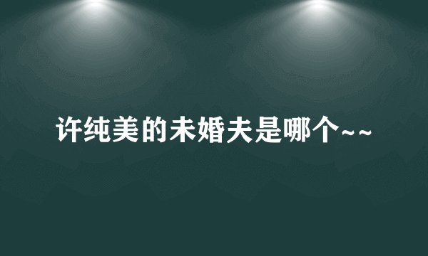 许纯美的未婚夫是哪个~~