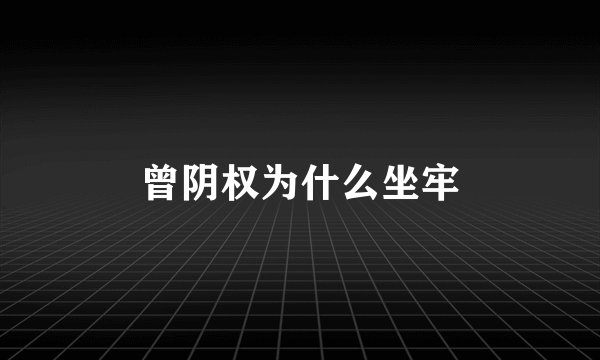 曾阴权为什么坐牢