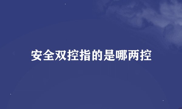 安全双控指的是哪两控