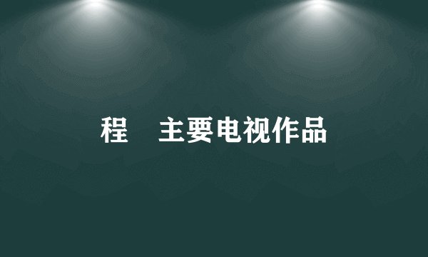 程榡主要电视作品