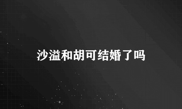 沙溢和胡可结婚了吗