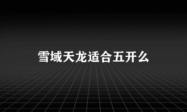 雪域天龙适合五开么