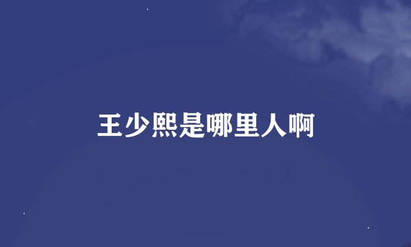 王少熙是哪里人啊